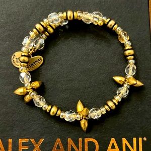 Alex and Ani Bracelet